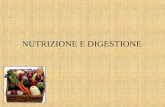 NUTRIZIONE E DIGESTIONE. MAPPA CONCETTUALE I micronutrienti e i macronutrienti I principali disturbi alimentari Digeribilità dei diversi alimenti Il percorso.