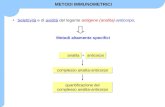 Selettività e di avidità del legame antigene (analita)-anticorpo, Metodi altamente specifici METODI IMMUNOMETRICI complesso analita-anticorpo analita +