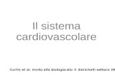Il sistema cardiovascolare Curtis et al. Invito alla biologia.blu © Zanichelli editore 2012.