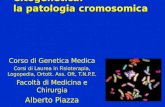 Citogenetica: la patologia cromosomica Corso di Genetica Medica Corsi di Laurea in Fisioterapia, Logopedia, Ortott. Ass. Oft, T.N.P.E. Facoltà di Medicina.