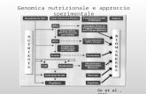 Genomica nutrizionale e approccio sperimentale Go et al., 2003.