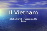 Il Vietnam Stella Samà – Veronica De Togni. Posizione Geografica Posizione Geografica.