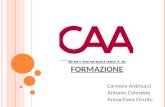 C ONSULENZA E F ORMAZIONE Carmela Antinucci Antonio Celestino Annachiara Circolo.