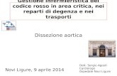 Gestione infermieristica del codice rosso in area critica, nei reparti di degenza e nei trasporti Novi Ligure, 9 aprile 2014 Dissezione aortica Dott. Sergio.