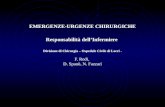 EMERGENZE-URGENZE CHIRURGICHE Responsabilità dell’Infermiere Divisione di Chirurgia – Ospedale Civile di Locri - F. Rodi, D. Spanò, N. Fazzari.