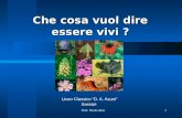 Prof. Paolo Abis1 Che cosa vuol dire essere vivi ? Liceo Classico “ D. A. Azuni ” Sassari.