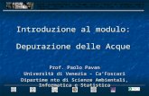 Introduzione al modulo: Depurazione delle Acque Prof. Paolo Pavan Università di Venezia – Ca’Foscari Dipartime nto di Scienze Ambientali, Informatica e.