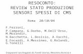 RESOCONTO: REVIEW STATO PRODUZIONE SENSORI SPESSI DI CMS Roma 20/10/04 F.Ferroni, P.Campana, G.Darbo, M.Dell’Orso, M.Morandin, N.Bacchetta, L.Bosisio,