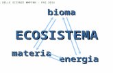 Materiamateria energiaenergia biomabioma ECOSISTEMAECOSISTEMA DIDATTICA DELLE SCIENZE MMFFNN – PAS 2014 UNICATT.
