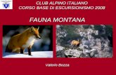 CLUB ALPINO ITALIANO CORSO BASE DI ESCURSIONISMO 2008 FAUNA MONTANA Valerio Bozza.