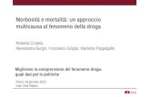 Morbosità e mortalità: un approccio multicausa al fenomeno della droga Roberta Crialesi, Alessandra Burgio, Francesco Grippo, Marilena Pappagallo Migliorare.