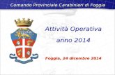 Attività Operativa anno 2014 Foggia, 24 dicembre 2014 Attività Operativa anno 2014 Foggia, 24 dicembre 2014 Comando Provinciale Carabinieri di Foggia.