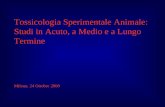 Tossicologia Sperimentale Animale: Studi in Acuto, a Medio e a Lungo Termine Milano, 24 Ottobre 2008.