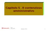 Bologna, 20131 Capitolo 5. Il contenzioso amministrativo
