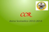 CCR Anno Scolastico 2013-2014. I CONSIGLIERI DEL CCR.