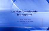 Le Macromolecole biologiche Prof. Paolo Abis Lic. Classico “D. A. Azuni” SASSARI.