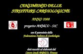 CENSIMENTO DELLE STRUTTURE CARDIOLOGICHE ANNO 2000 progetto ANMCO - SIC con il patrocinio della Federazione Italiana di Cardiologia dati raccolti ed elaborati.