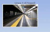 Linea 1 di Napoli. La linea 1 della metropolitana di Napoli, gestita dalla società ANM, è stata la prima linea con caratteristiche proprie di una metropolitana.