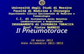 Università degli Studi di Messina Facoltà di Medicina e Chirurgia Dipartimento Clinico Sperimentale di Medicina e Farmacologia C.I. di Sistematica delle.