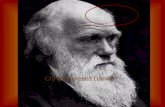 Chi era in realtà Darwin?. Nel duecentesimo anno dalla nascita di Darwin ci si chiede ancora chi fosse in realtà quest'uomo. Molti insegnanti dipingono.