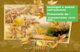 Immagini e poesie sull’autunno Presentate da : ALBIEMOTIONS (SITO WEB )