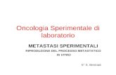 Oncologia Sperimentale di laboratorio METASTASI SPERIMENTALI RIPRODUZIONE DEL PROCESSO METASTATICO IN VITRO 5° S. Beninati.