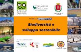 Biodiversità e sviluppo sostenibile in collaborazione con: Fundacion Otonga PROVINCIA DI VERONA Progetto: