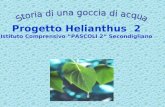 Progetto Helianthus 2 Istituto Comprensivo “ PASCOLI 2 ” Secondigliano.