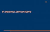 Il sistema immunitario 0. 0 Le difese innate dell’organismo umano Le difese innate contro le infezioni comprendono la pelle, le cellule fagocitarie e.