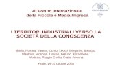 VII Forum Internazionale della Piccola e Media Impresa I TERRITORI INDUSTRIALI VERSO LA SOCIETÀ DELLA CONOSCENZA Biella, Novara, Varese, Como, Lecco, Bergamo,