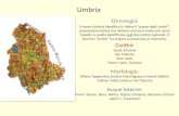 Umbria Etimologia: Il nome Umbria identifica in latino il "paese degli umbri", popolazione italica che abitava una zona molto più vasta rispetto a quella.