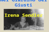 Nel Giardino dei Giusti Irena Sendler. Una signora di 98 anni che si chiamava Irena Sendler è deceduta nel 2008. Durante la 2ª Guerra Mondiale, Irena.