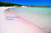 VISITA ALL’ISOLA di BUDELLI dejacovo@libero.it Budelli è un’isola della Sardegna, fa parte dell’arcipelago della Maddalena presso le bocche di Bonifacio,