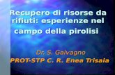 Recupero di risorse da rifiuti: esperienze nel campo della pirolisi Dr. S. Galvagno PROT-STP C. R. Enea Trisaia.