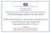10 maggio 2013 Corso A.I.U.G. Menopausa.Invecchiamento ed Uroginecologia «Ginecologia della terza età» Disturbi sensitivi vescicali, Urgenza ed Incontinenza.