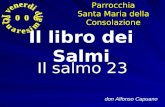 Il salmo 23 don Alfonso Capuano Il libro dei SalmiParrocchia Santa Maria della Consolazione.
