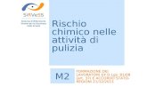 Rischio chimico nelle attività di pulizia SiRVeSS Sistema di Riferimento Veneto per la Sicurezza nelle Scuole M2 FORMAZIONE DEI LAVORATORI EX D.Lgs. 81/08.