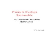 Principi di Oncologia Sperimentale MECCANISMI DEL PROCESSO METASTATICO 3° S. Beninati.