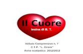 Il Cuore tesina di B. T. Istituto Comprensivo n. 7 C.T.P. “L. Orsini” Anno scolastico 2012/2013.