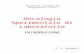 Oncologia Sperimentale di Laboratorio INTRODUZIONE 1° S. BENINATI Attività a Scelta CL Magistrale (3CFU)
