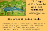 Il lago villafranchiano del Valdarno Classi terze A e B Anno scolastico 2013-2014 Gli animali della valle Abbiamo visto alcuni libri, immagini e video.