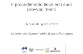 Il procedimento lieve ed i suoi provvedimenti A cura di Sylvia Kranz Unione dei Comuni della Bassa Romagna.