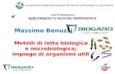 Massimo Benuzzi Metodi di lotta biologica e microbiologica; impiego di organismi utili Corso di Formazione su AGROFARMACI E DESTINO AMBIENTALE.