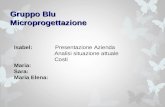 Gruppo Blu Microprogettazione Isabel: Presentazione Azienda Analisi situazione attuale Costi Maria: Sara: Maria Elena: