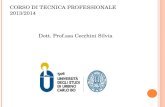 C ORSO DI T ECNICA P ROFESSIONALE 2013/2014 Dott. Prof.ssa Cecchini Silvia.