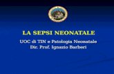 LA SEPSI NEONATALE UOC di TIN e Patologia Neonatale Dir. Prof. Ignazio Barberi.