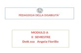PEDAGOGIA DELLA DISABILITA’ MODULO A II SEMESTRE Dott.ssa Angela Fiorillo.