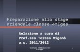 Collegio Villoresi San Giuseppe1 Preparazione allo stage aziendale classe 4^Igea Relazione a cura di Prof.ssa Teresa Viganò a.s. 2011/2012.