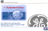 GE Information Services L’Azienda Estesa Ing. Maurizio Ammannato Marketing & Sales Support Mgr GE Information Services.