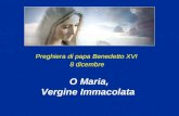 Preghiera di papa Benedetto XVI 8 dicembre O Maria, Vergine Immacolata.